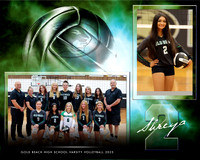 VARSITY VOLLEYBALL