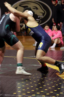 4 - DN JOHNSON vs RR WARDLE