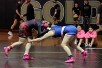 7 - IV MOORE-PICKEL vs MP GILES