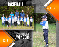 COACH PITCH AVENGERS TM/ IND