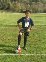 Wilson Electric U14