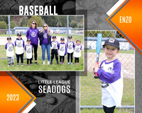 TBALL SEADOGS TM/ IND