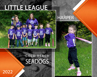 SEADOGS TEAM