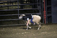 FAIR 2023