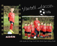 5 Star Charter U8