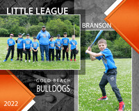 BULLDOGS TEAM