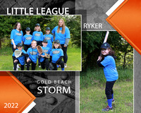 STORM TEAM